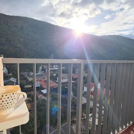 Apartament Vis De Sinaia ! Exteriér fotografie